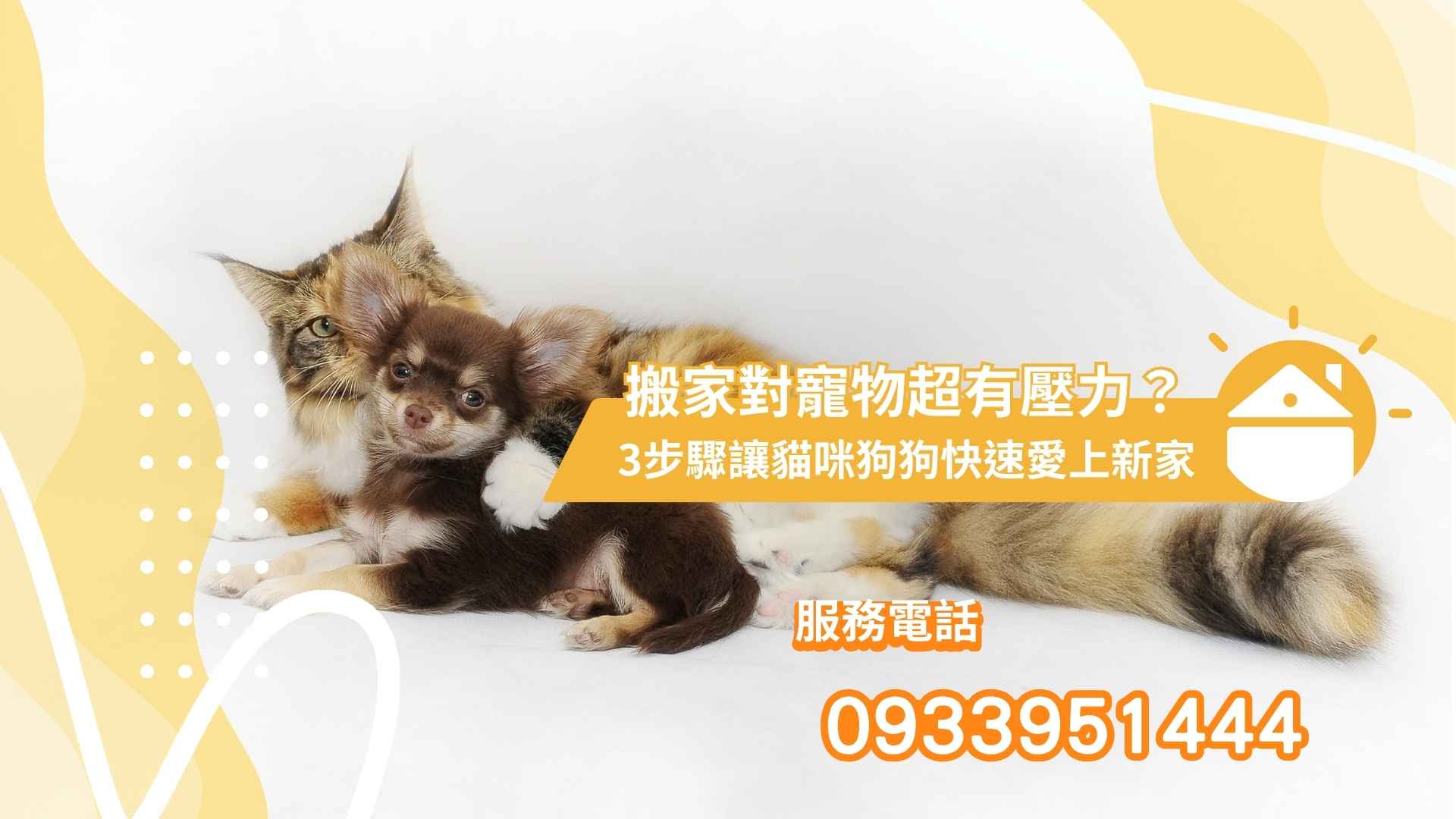 搬家對寵物超有壓力？3步驟讓貓咪狗狗快速愛上新家｜桃園搬家推薦